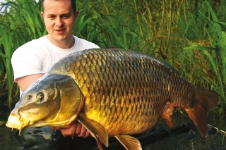 Krásny šupináč z českého jazera; na prekonanie 30 kg hranice mu chýbal len kúsok.