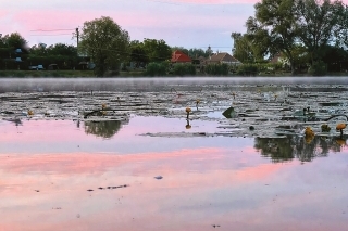 Čarovné ráno na rybníku.