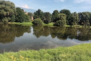 Orava v Záskalí.