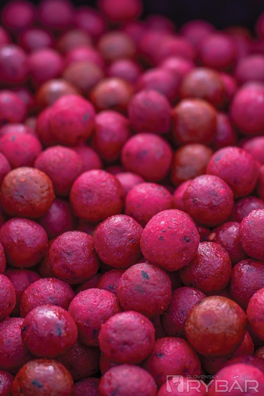 Rovnaký druh boilies kŕmim počas celého týždňa.