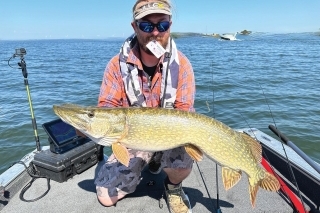 Metrová šťuka ulovená metódou pelagic sharpshooting.
