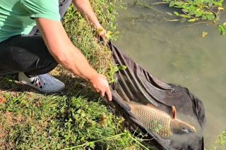 Moje ranné rybačky – 2. časť 1