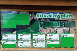 Prvá feedrovačka v Poline 5
