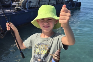 Mateov kanic písmenkový z chorvátskeho mora.