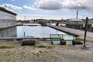 Trout Area – moderná rybačka či bizár z Japonska? 4