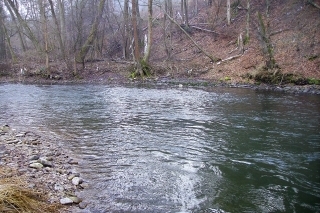 Obľúbený Hron.