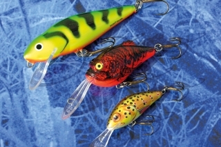 Rôzne typy crankbaitov - Perch 12F, Boxer 7SDR, 
Hornet 6.