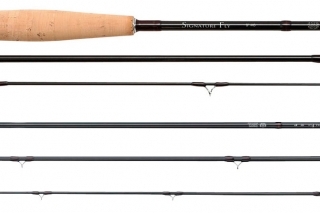 DAIWA - Muškársky klenot 2