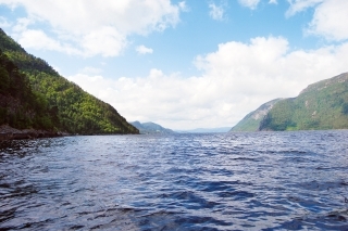 Snillfjordské tresky 3