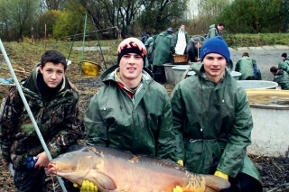 Najväčšie matečné kapry na našej rybničnej sústave majú až okolo 25 kg!