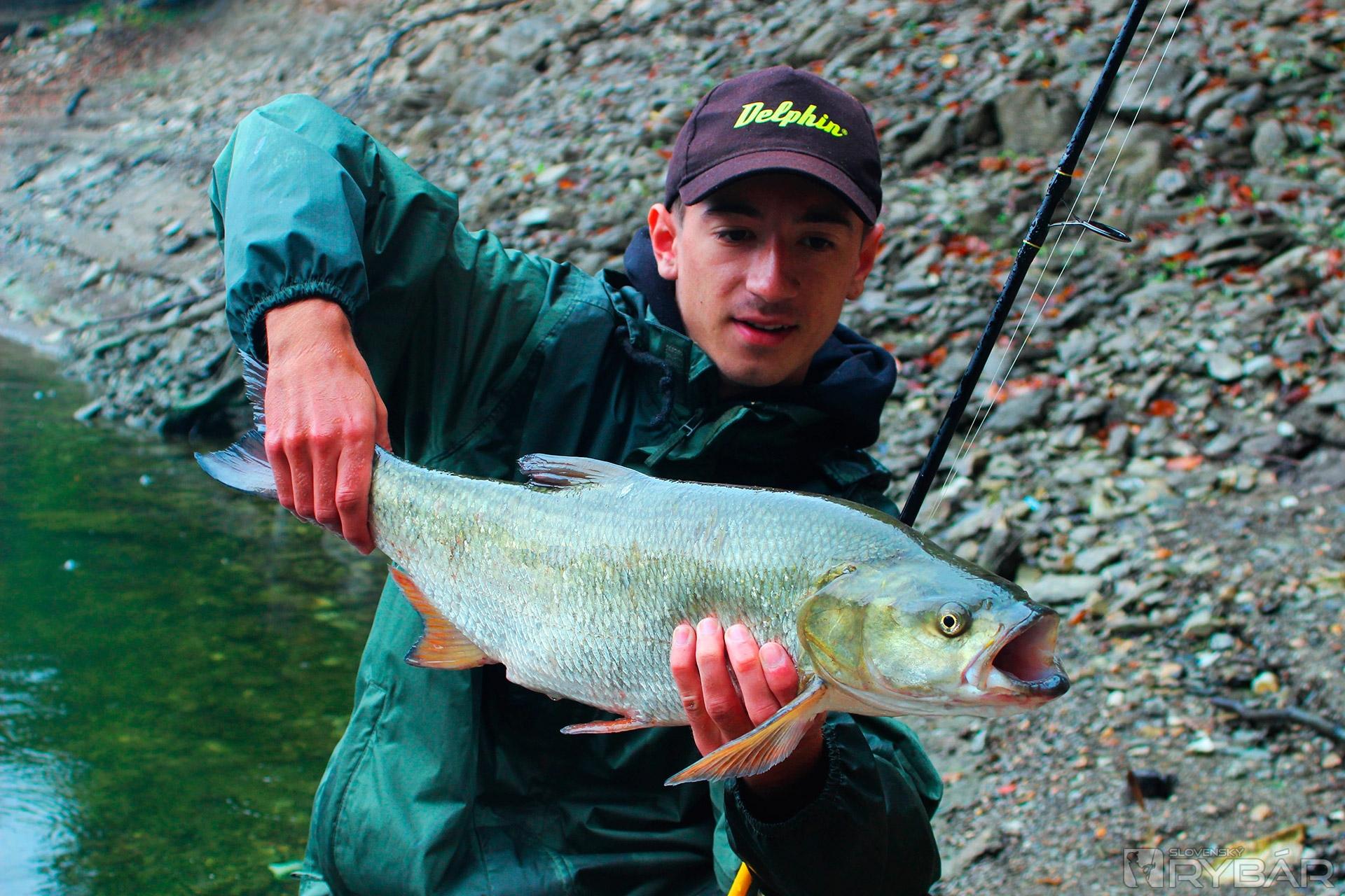 Jesenné torpédo 73 cm.