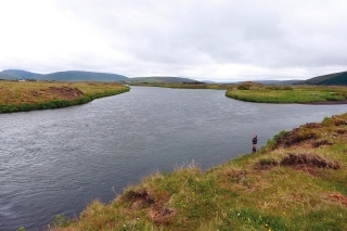 Lososy sa na Islande lovia najmä na veľkých riekach.