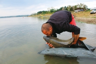 Úlovok z Paľkova č.1. Družstvo Dynamite Baits, prvá 16 kg ryba.