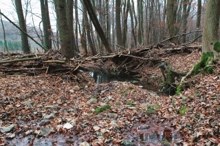 Koryto potoka, kde pár týždňov po veľkej vode, zostali prakticky len kaluže.
