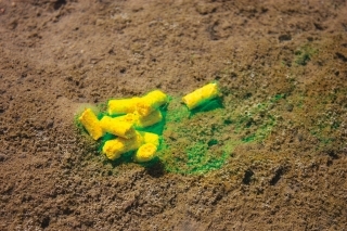 Kukuričné pelety Sweet Milk s fluo-efektom.