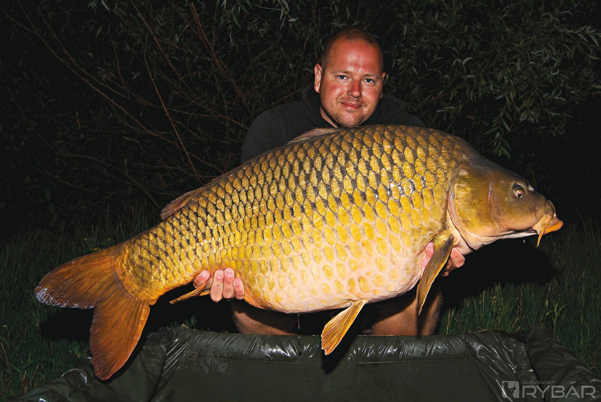 Po troch rokoch sa opäť stretávam so šíravskou legendou Buldozerom, tentoraz vážil 23,10 kg.Zachutilo mu SK30 s bielou pop-up.