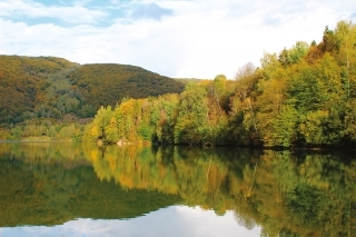 Za dravcami jesene 3