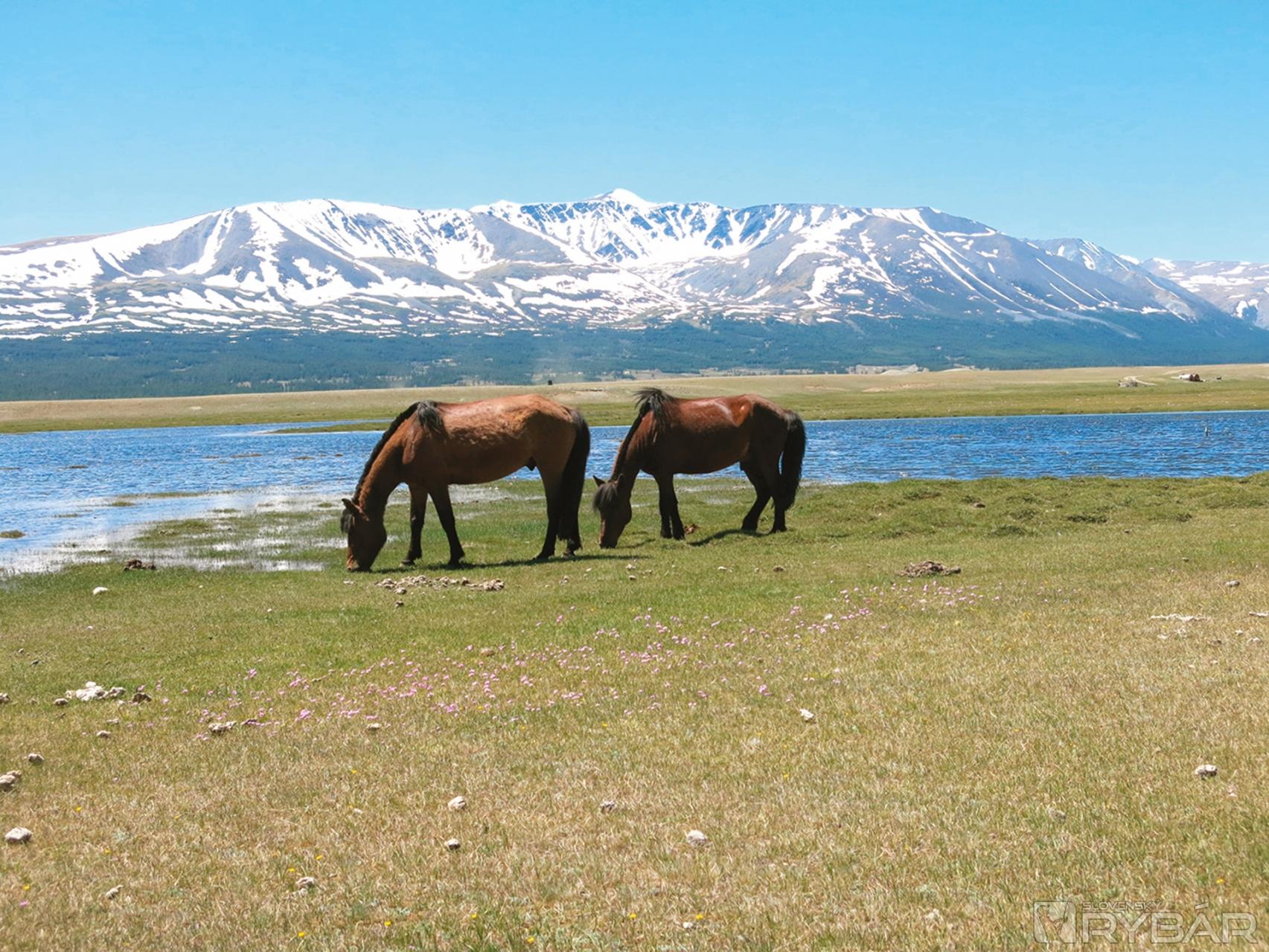 Altaj je právom zaradený medzi mongolské národné parky.
