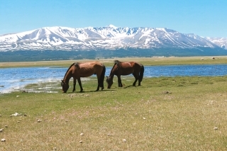 Altaj je právom zaradený medzi mongolské národné parky.