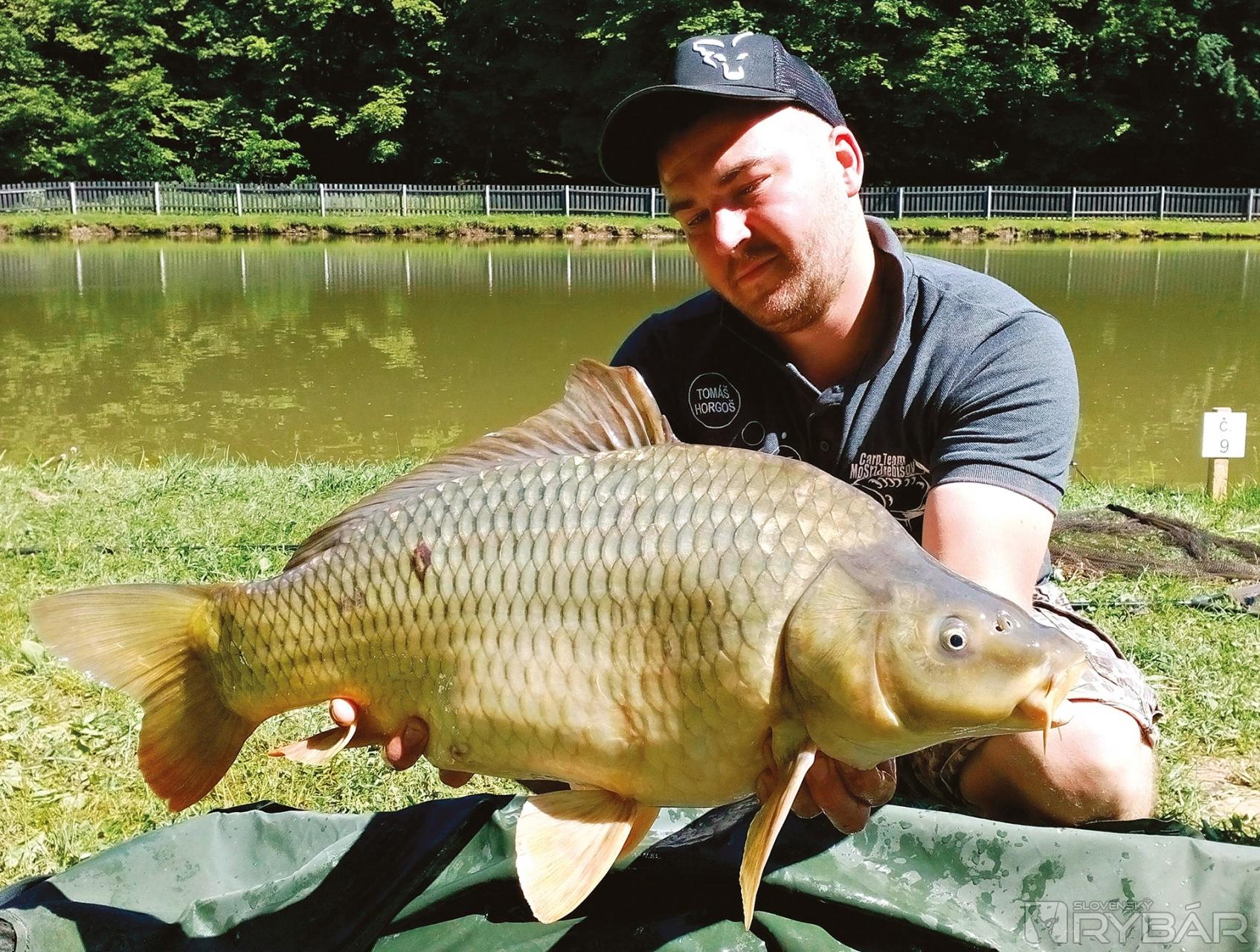 Takéto ryby potešia dvakrát a obzvlášť na pretekoch.