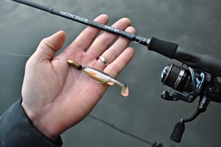 Obľúbená kombinácia – Texas rig.