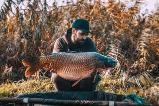 Šupináč s veľmi zaujímavou stavbou tela.