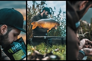 1. Ani ja som tej vôni neodolal. 
2. Jeseň je to pravé obdobie na Salmon Peach.
3. Keď sa voda ochladí netreba veľa kŕmiť.