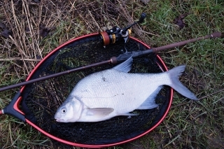 Na ľahké feedrovanie je Delphin Carbolite 35 ako stvorený.