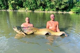 Borisov sumec zo slovenskej rieky s dĺžkou 207 cm.