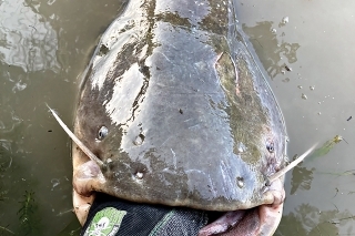 A ďalší je zdolaný.