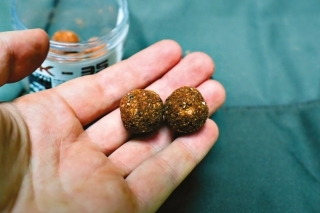 Mäsové boilies kreveta.