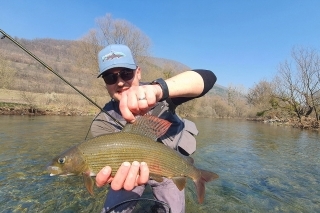 Mírov trofejný lipeň 50,50 cm.