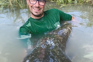 Aj sumec sa vie usmiať, keď vie, že zabral rybárovi, čo ho nezabije.