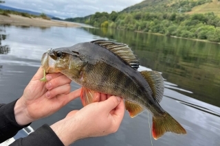 Loch Awe mystické jazero 3
