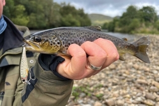 Loch Awe mystické jazero 8