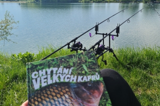 Kočky na rybách – Zuzana Szabová 3