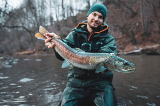 Kráľovná rieky – hlavátka podunajská