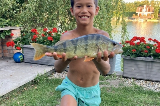 Lovec: Matias Maczeak, Senec