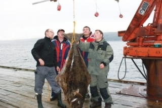 Rekordný Halibut