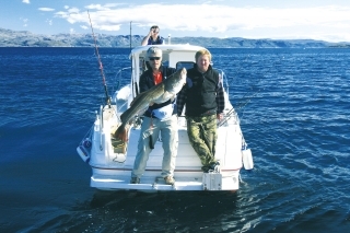 Treska 16 kg.
