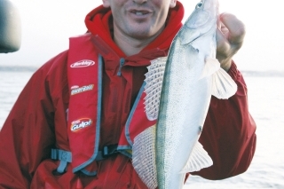 Priemerná veľkosť lovených zubáčov.