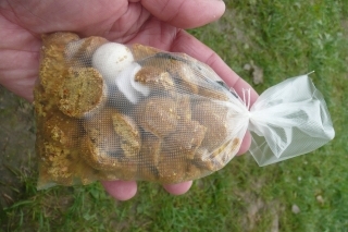Polené guľôčky ananásu a s nástrahou bielou pop-up Monster Crab v PVA vrecúšku. Táto montáž nám chytila prvé ryby.