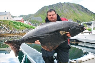 Halibut 127 cm.