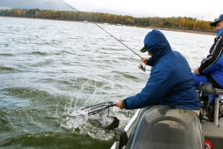 Použili sme vobler Rapala Clackin’ Minnow11 cm.