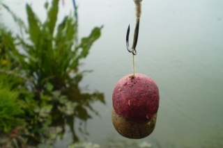Veľkosť boilies, použitých pri love kaprov 2