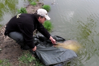 Veľkosť boilies, použitých pri love kaprov 6