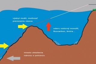 Ako sme ušli pred zákonom 15