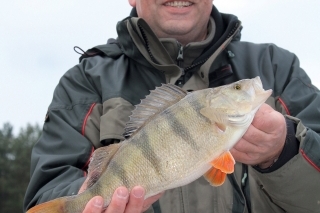 Zdeno z Rybolovu a najväčší ostriež tejto akcie 42 cm.