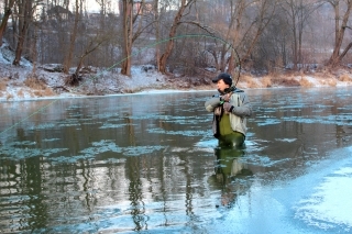 Mušky v ľade, Orava