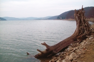 Zimné mreny a jalce na prívlač